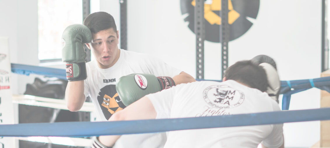 Boxeo, Escuela Internacional De Artes Marciales Mixtas