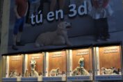 San Antón - Mascotas - ThreeDee-You Foto-Escultura 3d-u